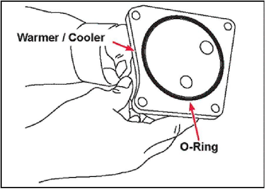 520065657_graphic-text28F